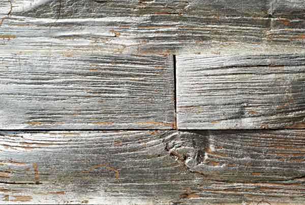 wandpaneele-holz-eiche-blattsilber-glitzerwald