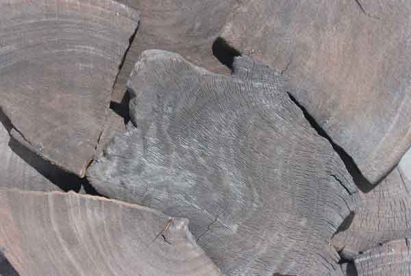 wandpaneele-holz-eukalyptus-verkohlt-eukalyptus-bits