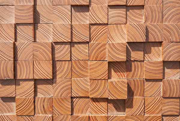 wandpaneele-holz-riga-in-and-out