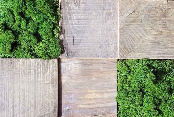 wandpaneele-mix-kastanie-recycelt-moos-gruene-lunge