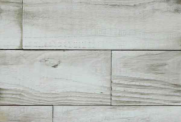 wandpaneele-holz-eukalyptus-feinsinn-creme-lackiert
