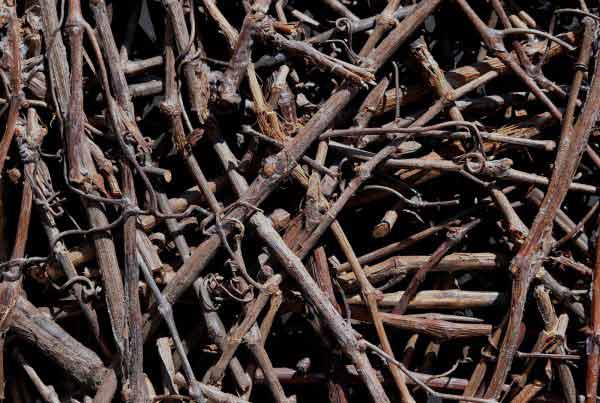 eco-wandpaneele-aeste-von-weinrebe-verklebt-wood-odyssee