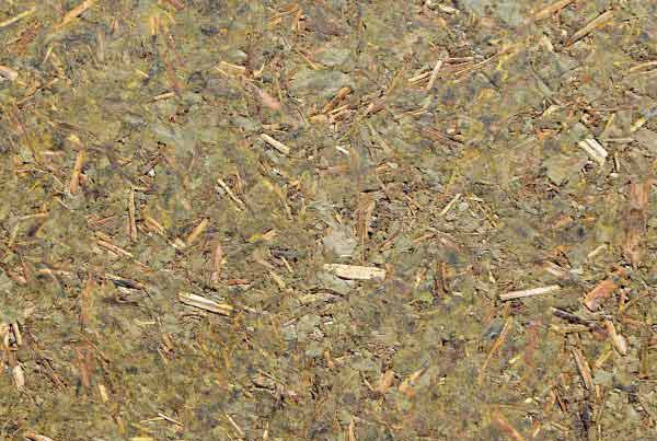 wandpaneele-mix-eukalyptus-gepresst-koala-green