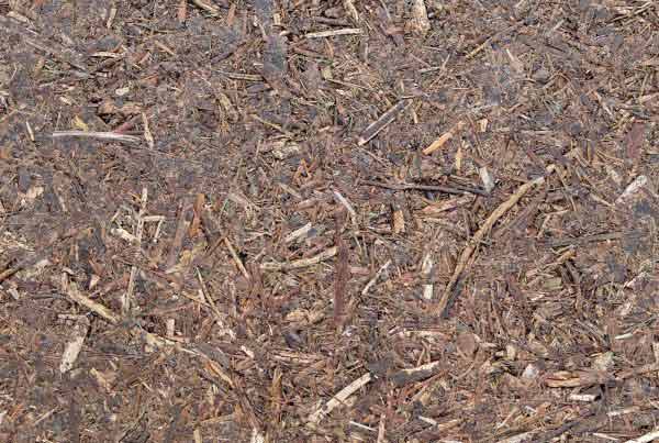 wandpaneele-mix-wald-gepresst-aeste-laub-dichtkunst-2
