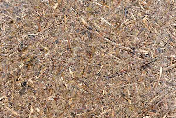 wandpaneele-mix-waldwiese-graeser-lavendel-wiese-forever