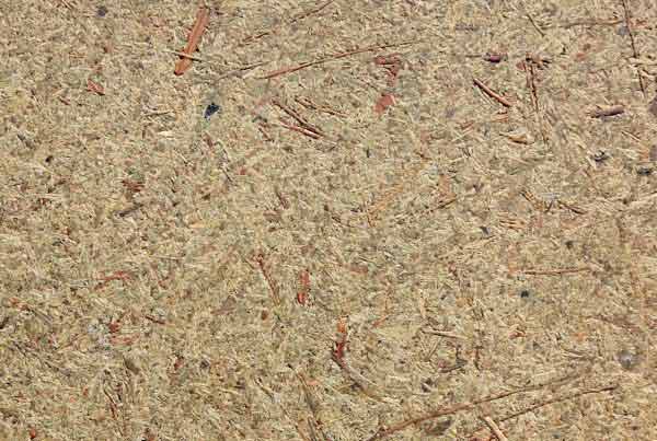 wandpaneele-mix-zedernholz-gepresst-micrograss
