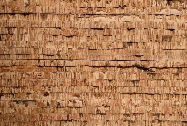 wandpaneele-kork-unbehandelt-naturfarben-safari-trails