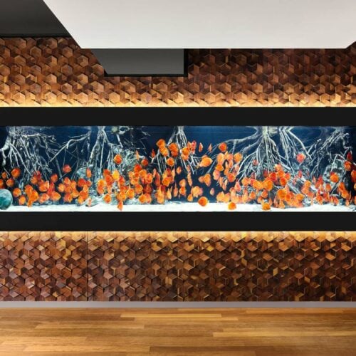 impressionen-wandgestaltung-the-age-of-aquarium-4