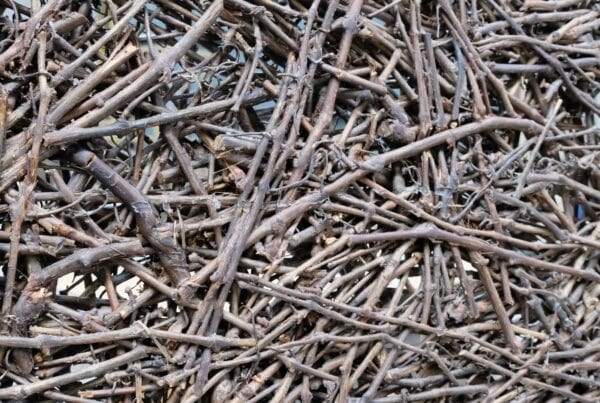 trennwand-aeste-aus-weinrebe-verklebt-wood-odyssee