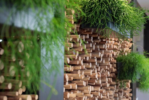 impressionen-wandgestaltung-energy-kitchen-restaurant-lp