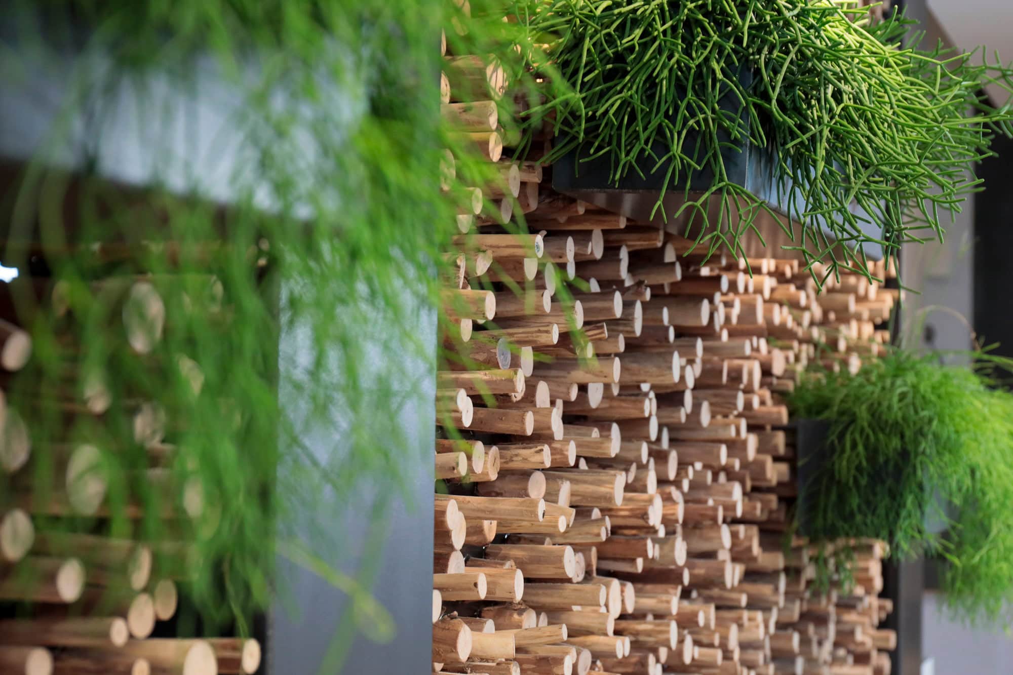impressionen-wandgestaltung-energy-kitchen-restaurant-lp
