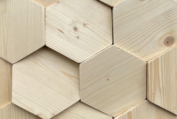 wandpaneele-holz-pinie-massiv-schraege-nummer