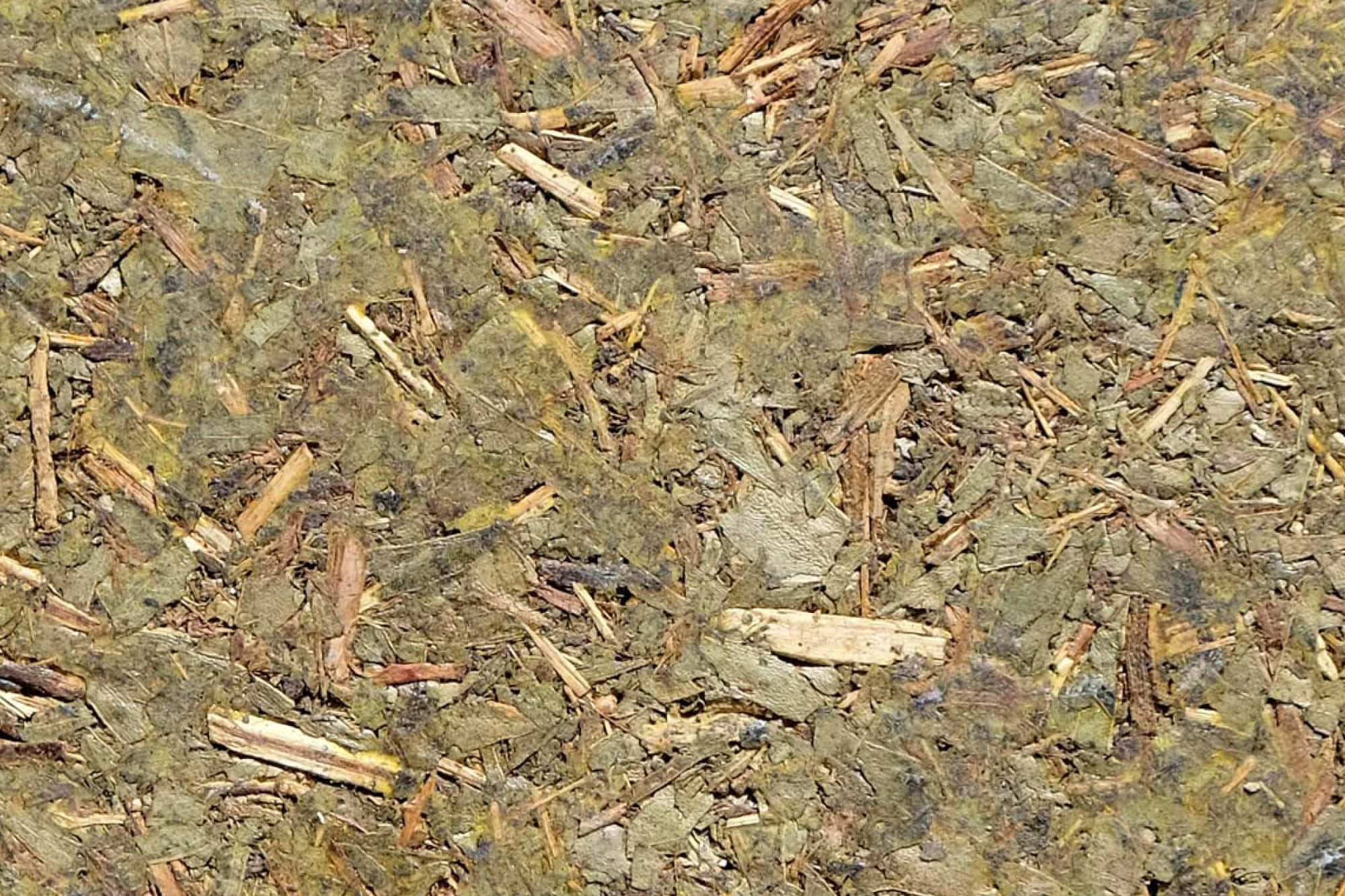 wandpaneele-mix-eukalyptus-gepresst-koala-green-l