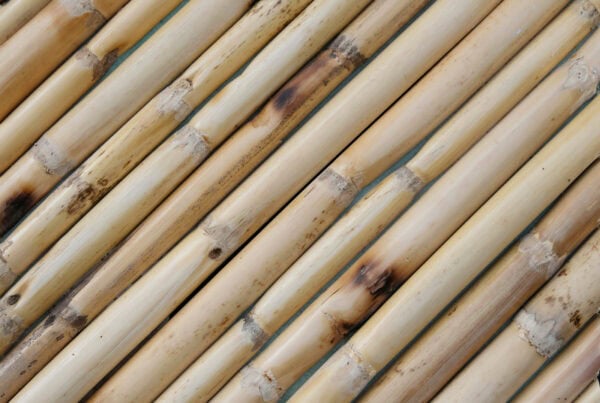 wandpaneele-holz-bambus-natur-bambus-kuss