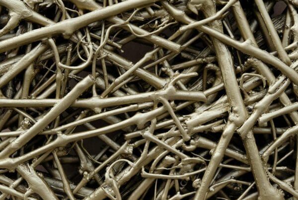 trennwand-aeste-von-weinrebe-verklebt-wood-odysse-gold